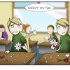 Snowflakes