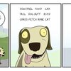 Dog Park