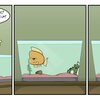 Return of the Fish (1/2)